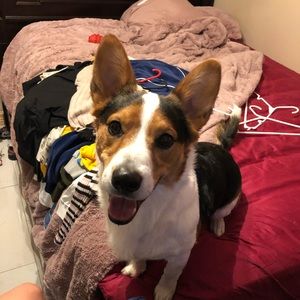 Meet your Posher, Jesse